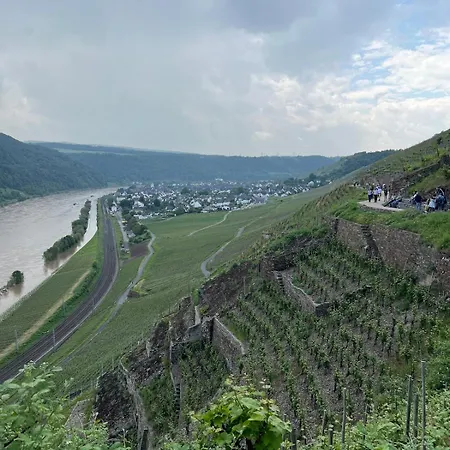 Moselzauber In Winningen
